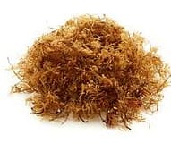 Irish moss 2