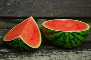 watermelon