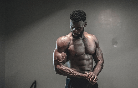 muscle